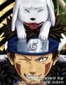 kiba inuzuka sasuke uchiha normal aleg kiba..il urasc mai mult decat orice kiba chiar pare amuzant