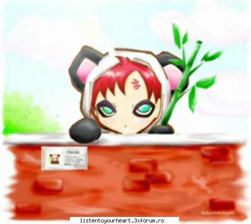Chatul meu - Takado - Chat