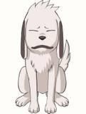 Kiba - ..::★Blair★::. - Naruto