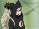 chat ninja - hei pt. ce a fost asta? - Chat